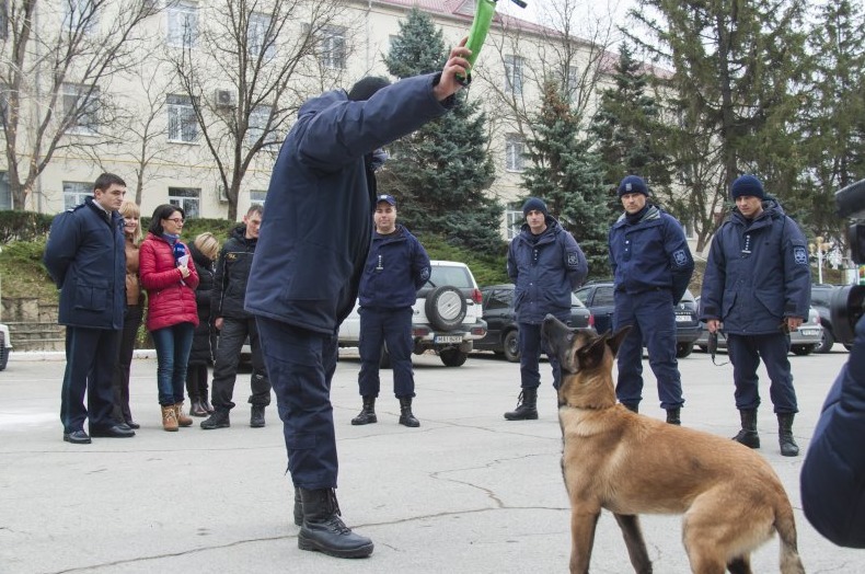Латвия подарила молдавским таможенникам двух служебных овчарок