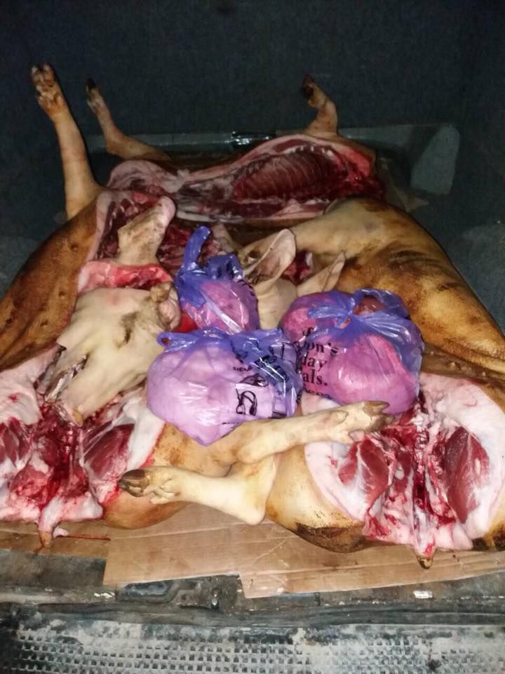 Несмотря на действия полиции, граждане продолжают незаконно торговать мясом и рыбой