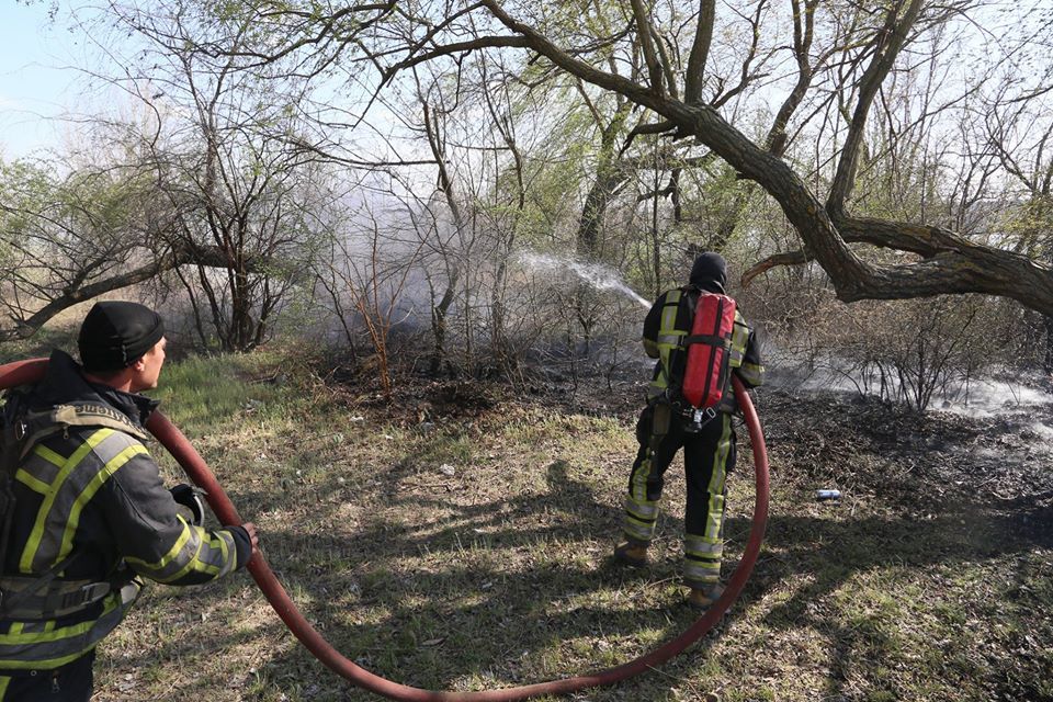 Пожарные устранили 66 очагов возгорания сухой растительности