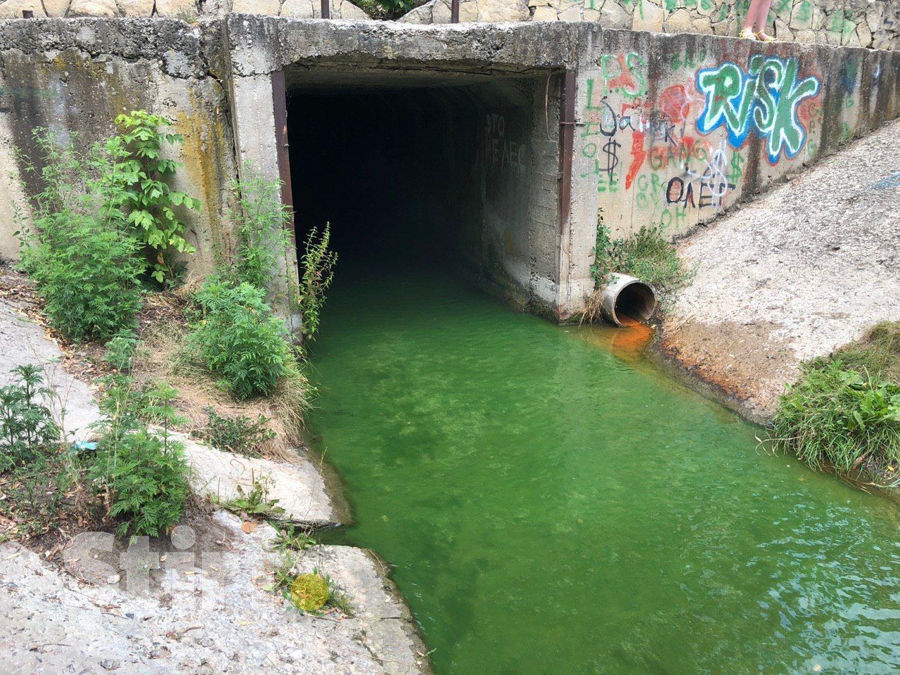 Вода в парке на Рышкановке позеленела из-за работ Termoelectrica