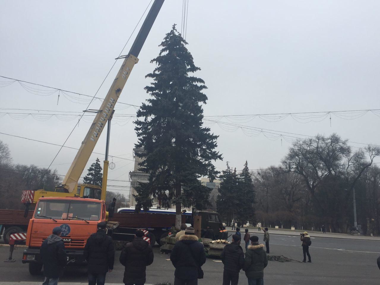 На центральной площади Кишинева установили новогоднюю елку