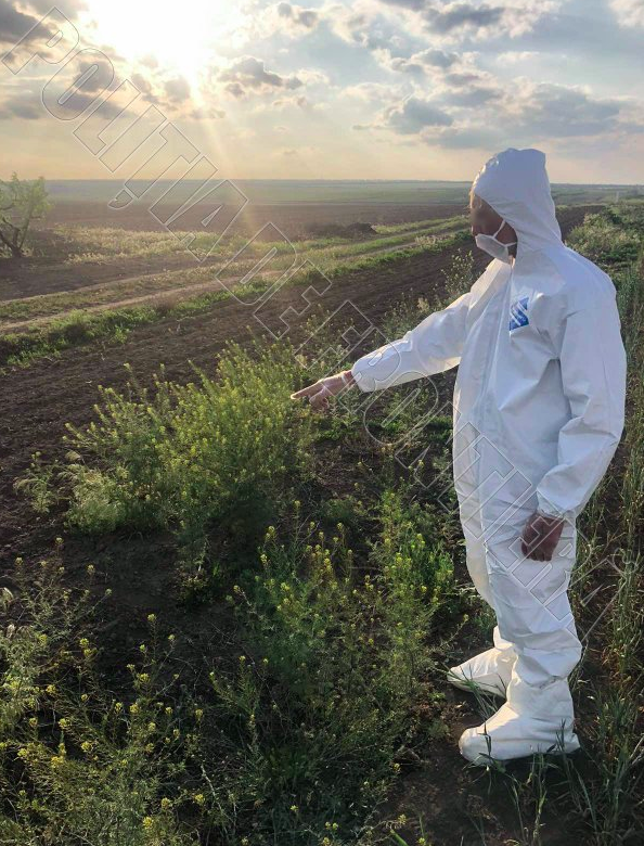Украинец незаконно пересек границу Молдовы, чтобы сократить путь до Одессы