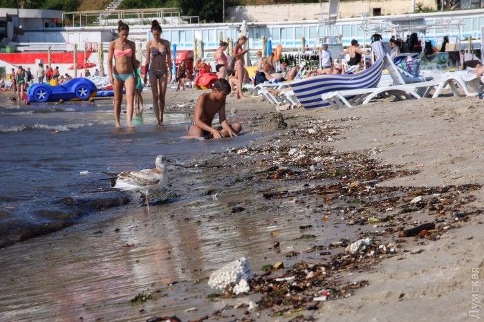 Ливень в Одессе смыл в море большое количество мусора - купаться не рекомендовано