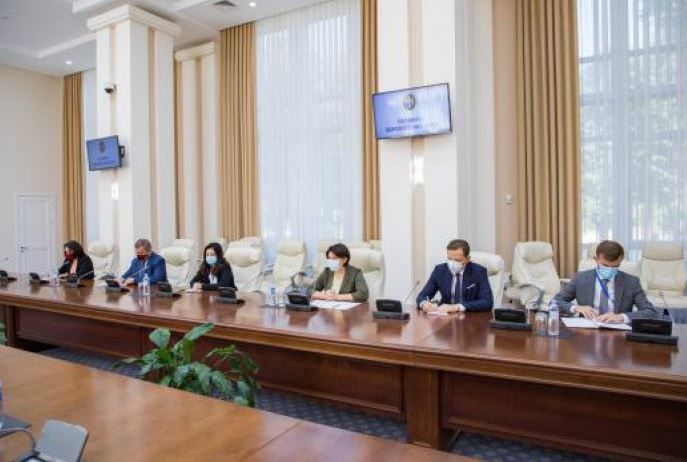 Гаврилица провела встречу со специальным представителем действующего председателя ОБСЕ