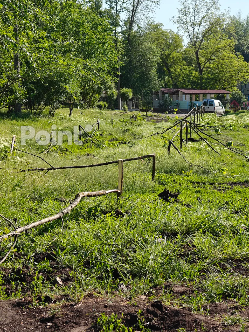 Vandalii au tăiat puieții plantați acum câteva săptămâni în Capitală