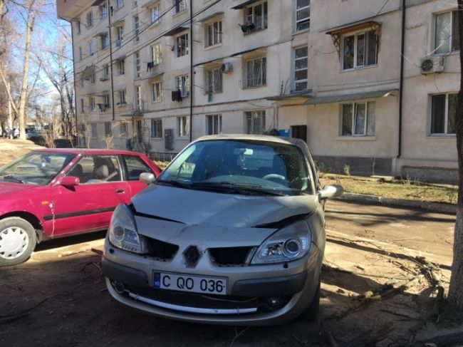 Сорванное ветром дерево повредило автомобиль