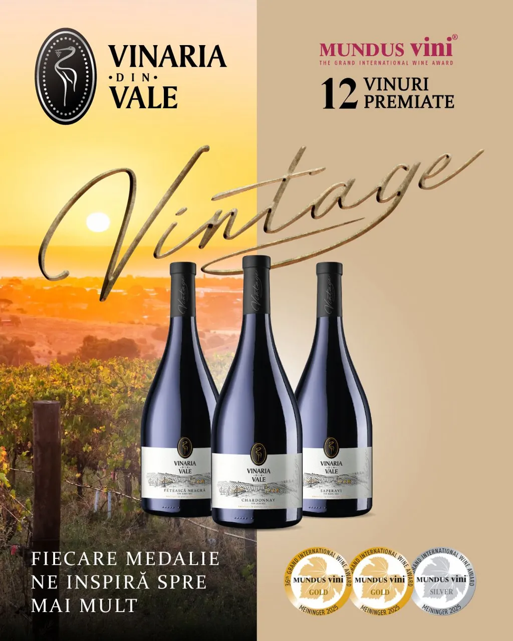 Vinăria din Vale: 12 medalii, 12 vinuri premiate - o nouă confirmare a excelenței