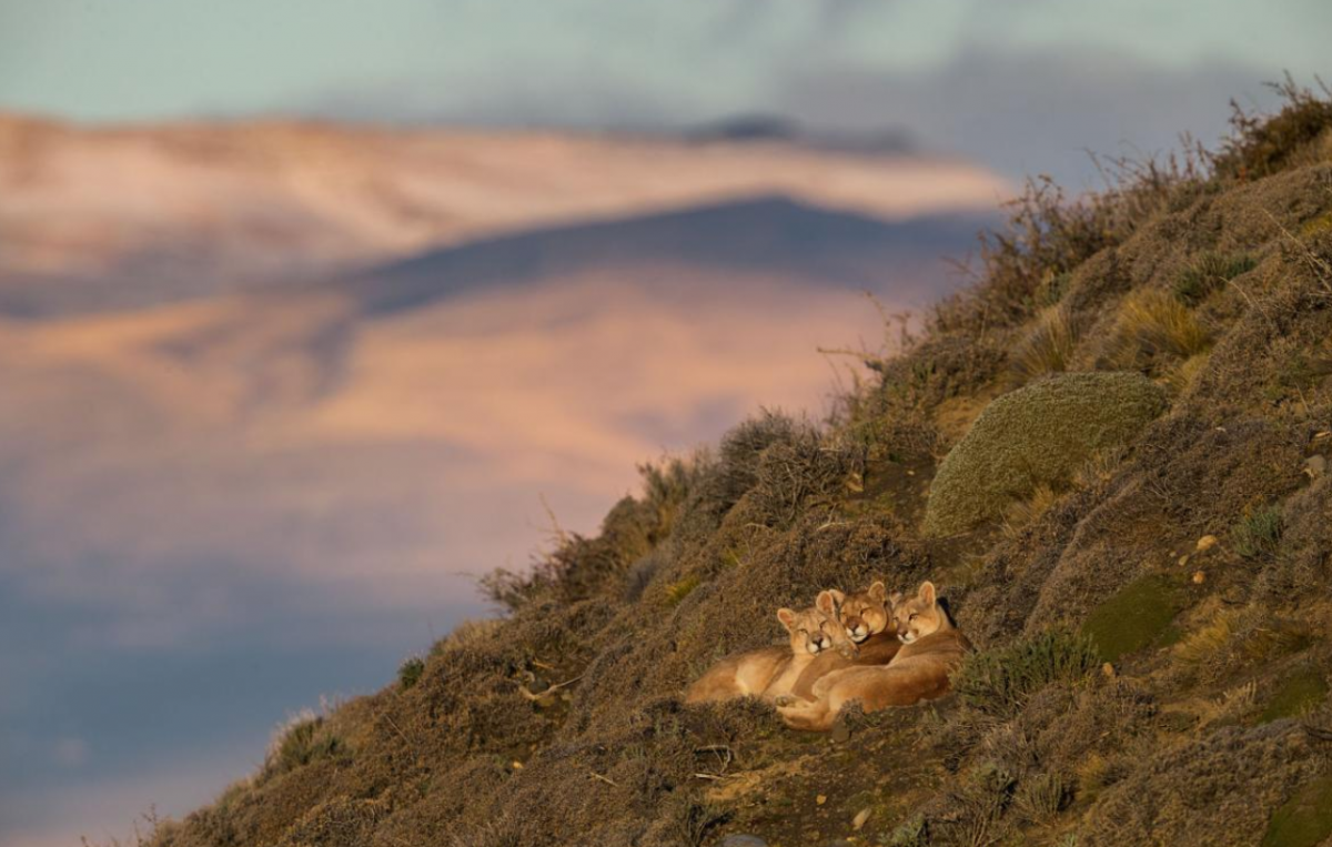 National Geographic обнародовал лучшие фотографии 2018 года