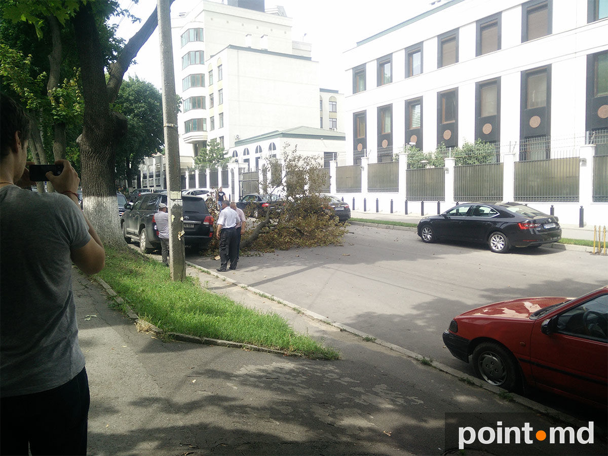 В Кишиневе ветка упала на машину главы ЖДМ Юрия Топалэ