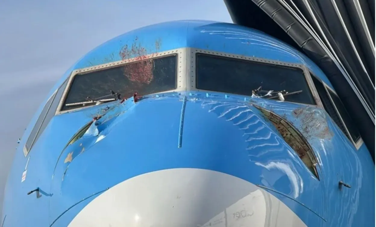 O coliziune cu lebede a dus la o aterizare de urgență a unui avion de pasageri în Marea Britanie