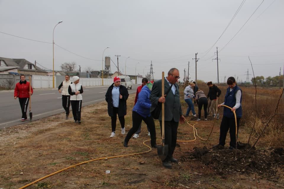 В Хынчештах провели акцию по озеленению города