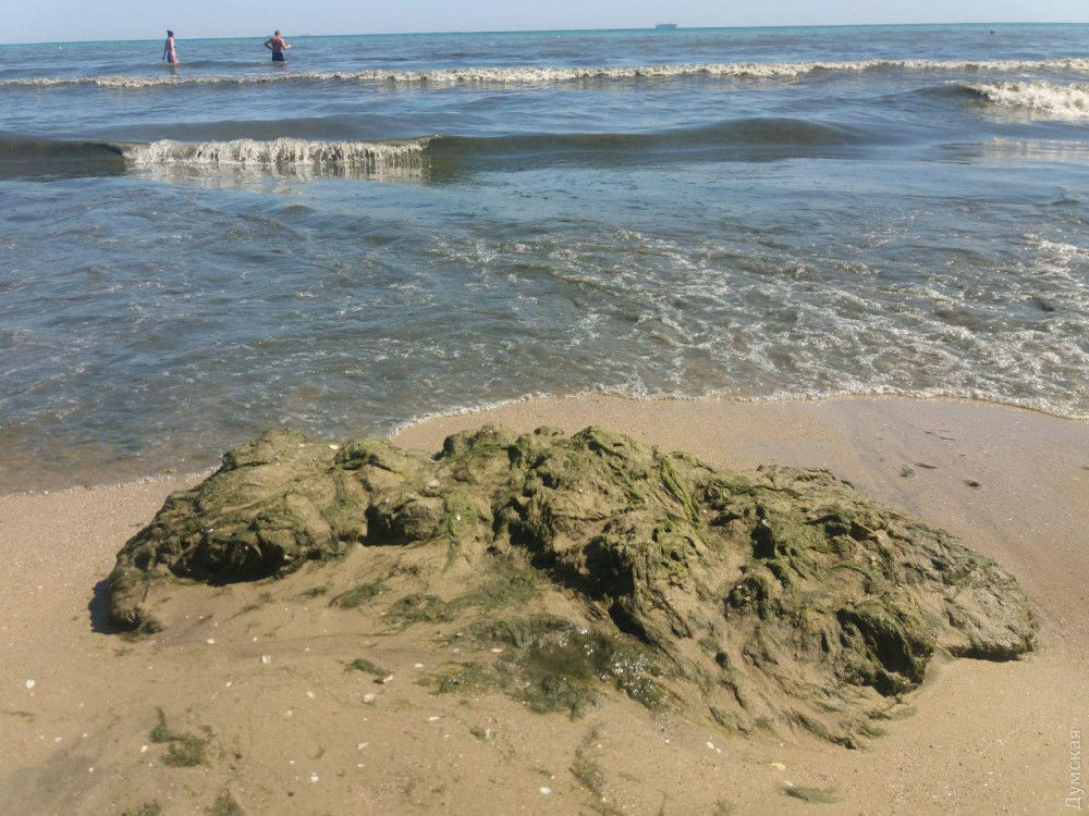 Вода на самом большом естественном пляже Одессы стала черной и дурно пахнет