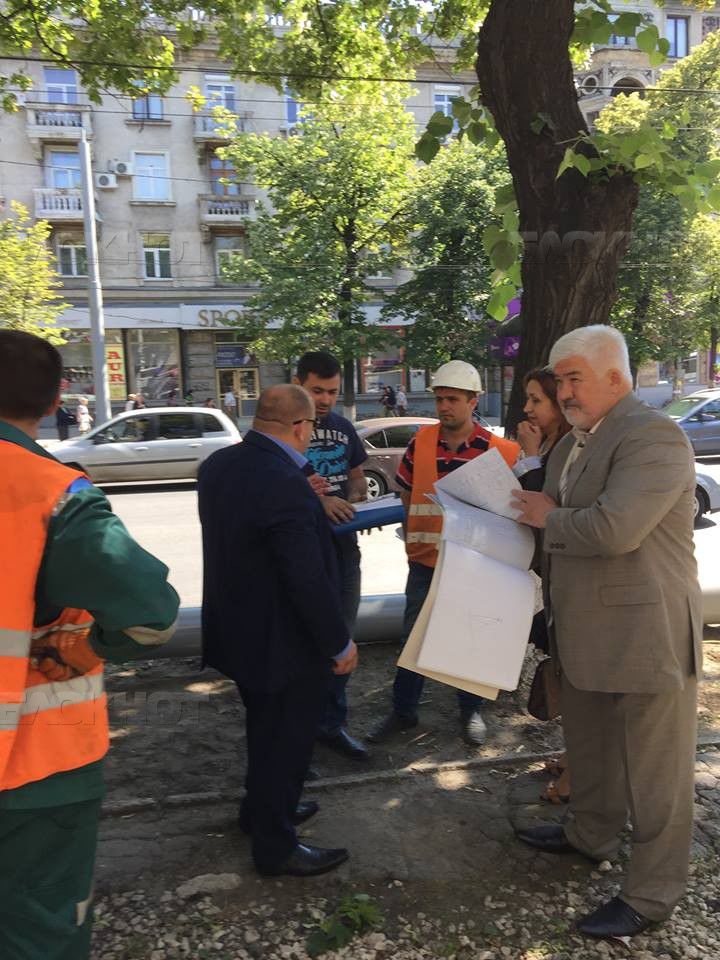 Незаконную вырубку деревьев на бульваре Штефана чел Маре удалось остановить