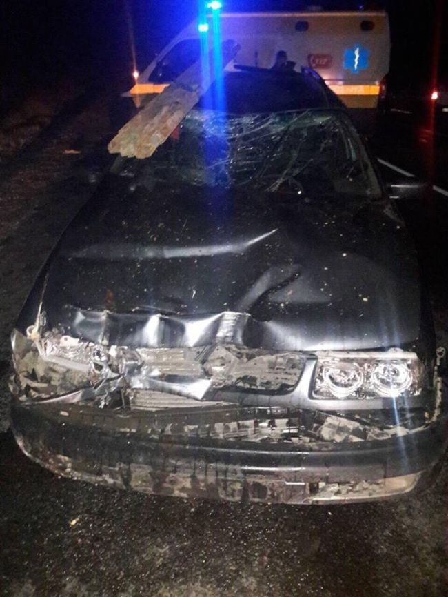 В Рышканском районе автомобиль врезался в гужевую повозку