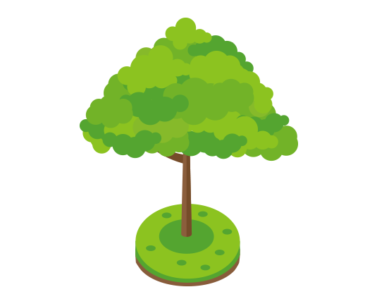 Primii participanți la proiectul Verde.md