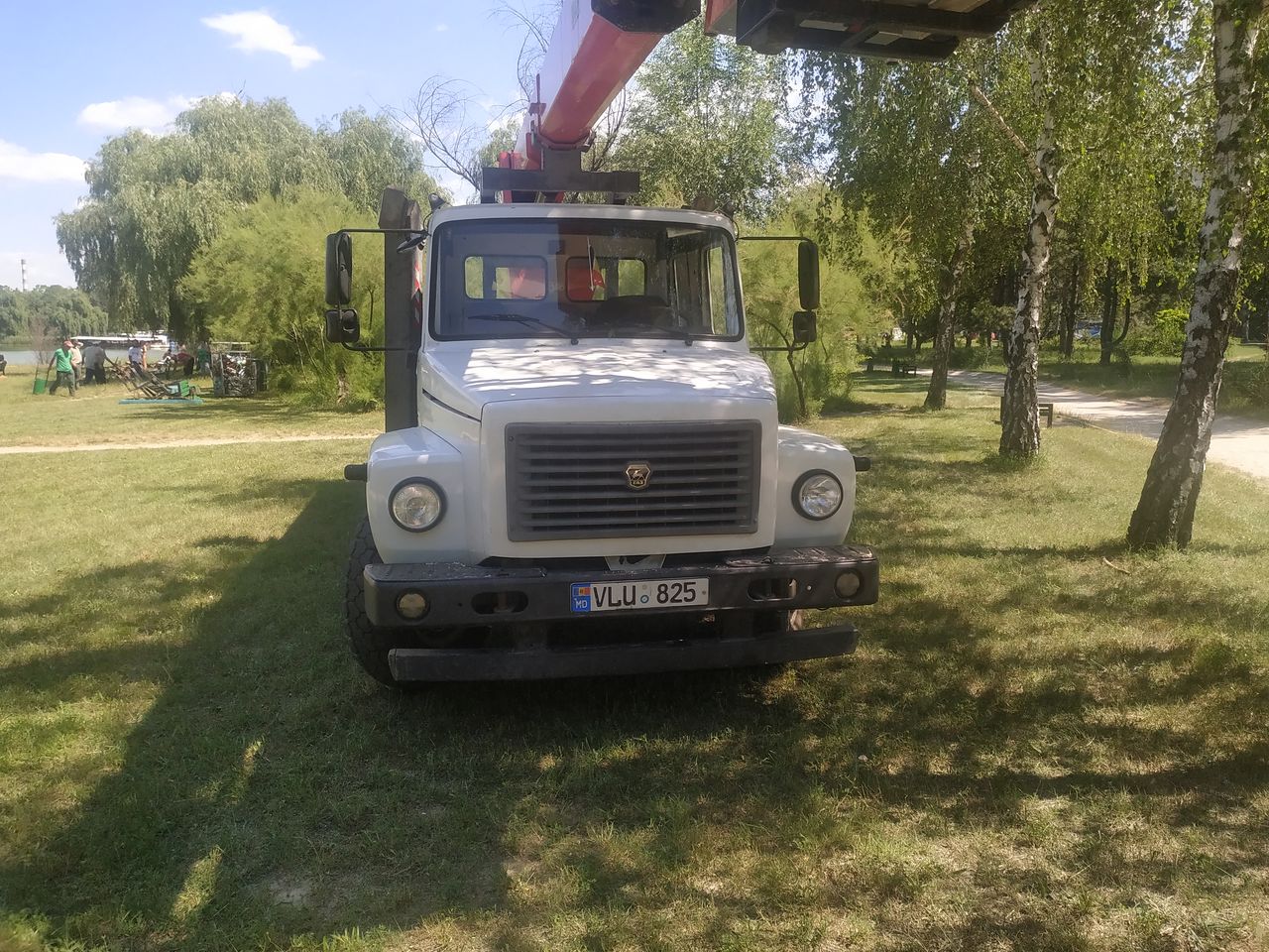 Жители Скулянки пожаловались на вырубку тополя в парке "Ла Извор"