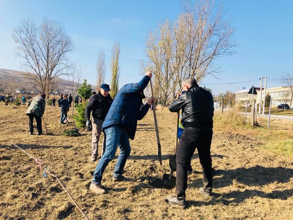 Александру Жиздан вместе с жителями родного села посадил 150 деревьев