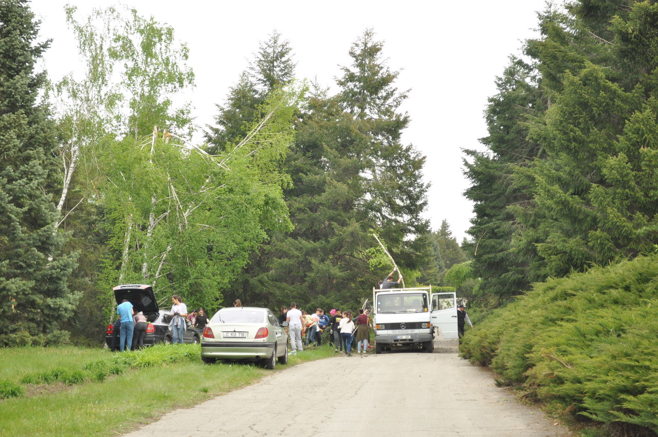 Peste 70 de voluntari au contribuit la salubrizarea Grădinii Botanice
