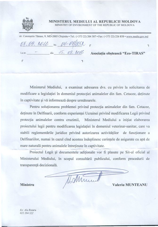 Министерство окружающей среды разработает законопроект о работе дельфинариев