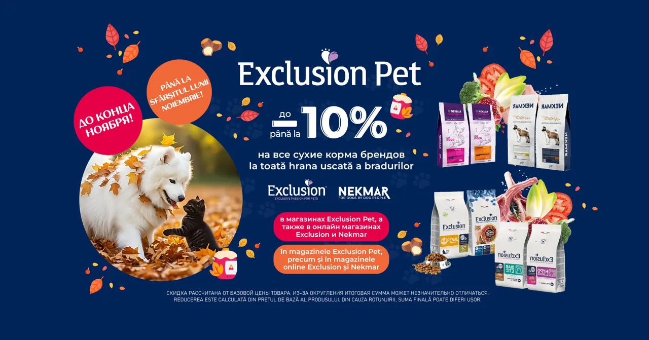 Exclusion Pet: 11 ноября откроется новый магазин на улице Decebal