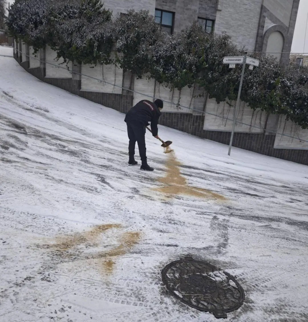 Un șofer blocat pe un carosabil alunecos, ajutat de carabinieri