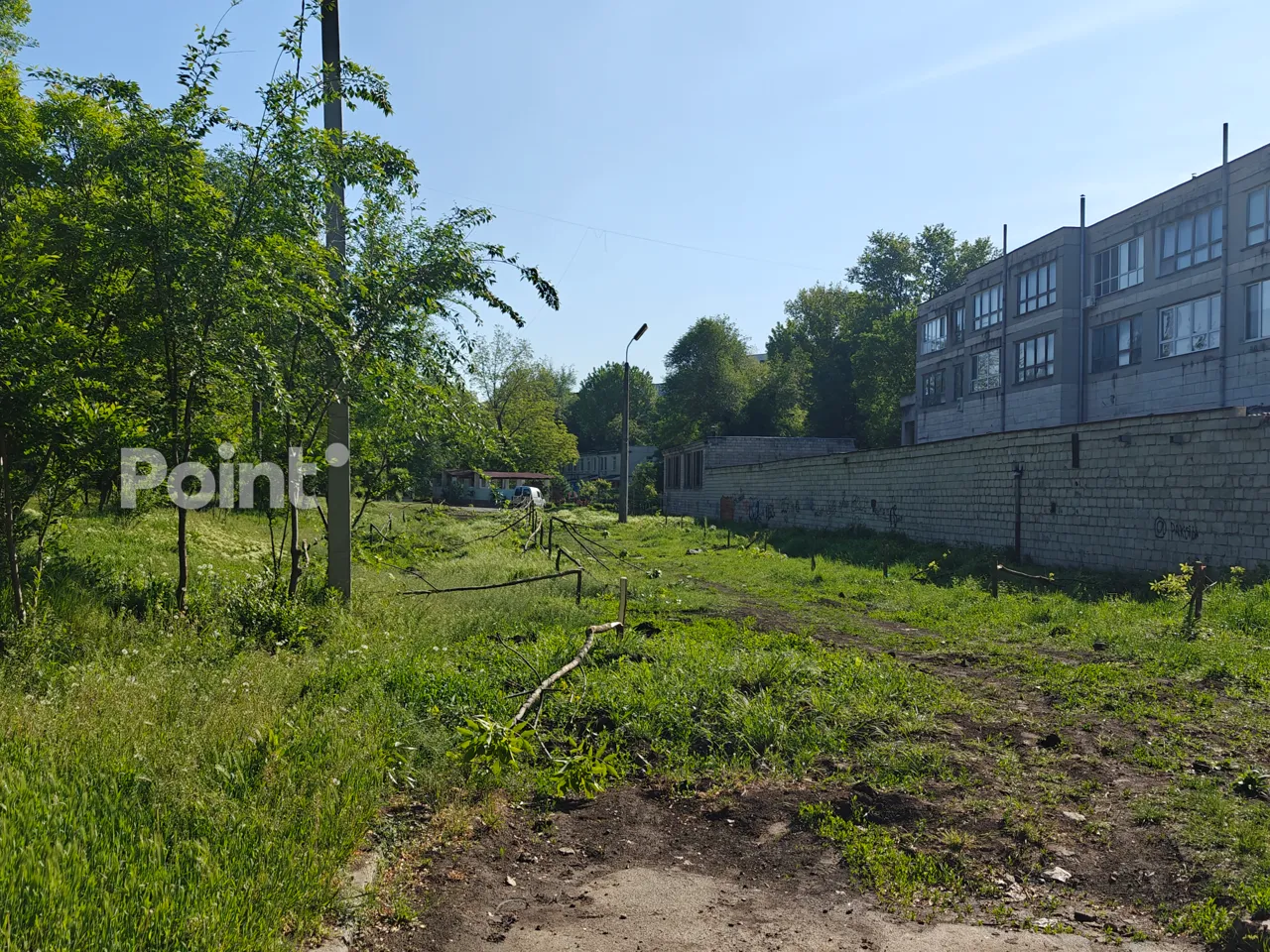 Vandalii au tăiat puieții plantați acum câteva săptămâni în Capitală