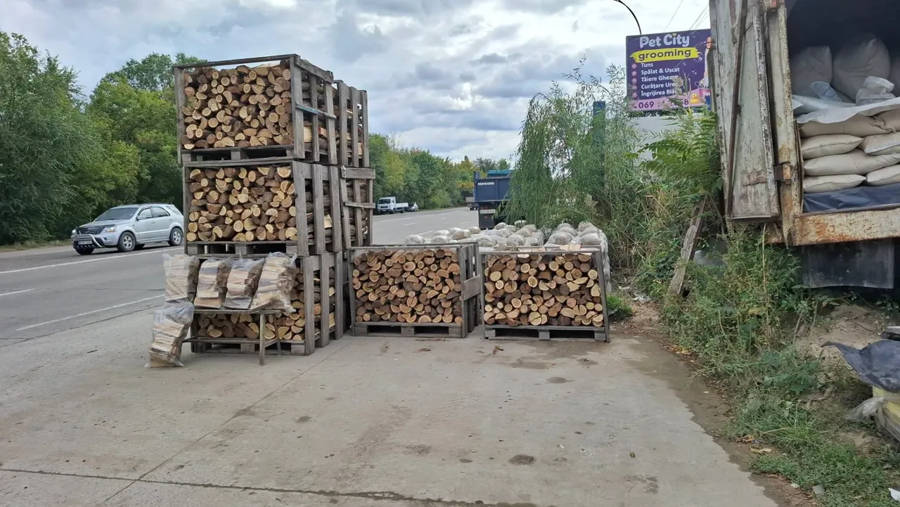 В Кишинёве продавали грунт и древесину без документов: нарушителей оштрафовали