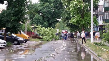 Un bărbat şi-a găsit maşina zdrobită de un copac