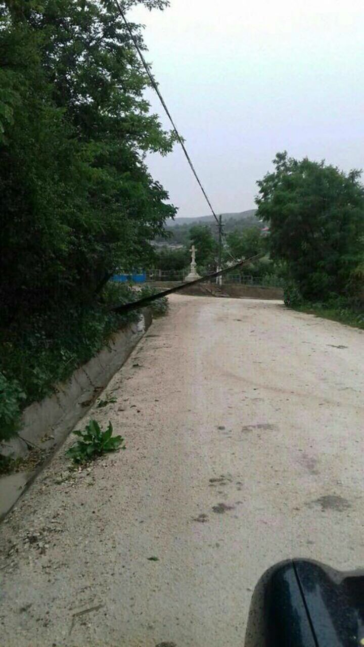 A plouat torențial în mai multe raioane. Copaci doborâţi peste casele şi sate fără lumină