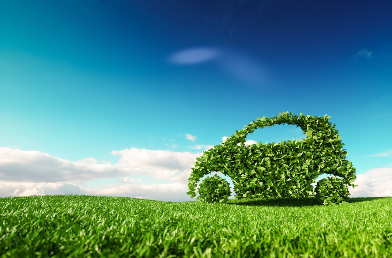 Petrom Routex Climate - международная карта, компенсирующая выбросы CO2
