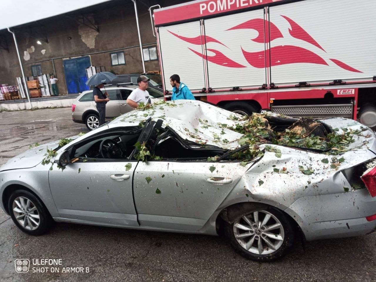 В Кишиневе упавшие деревья повредили автомобили
