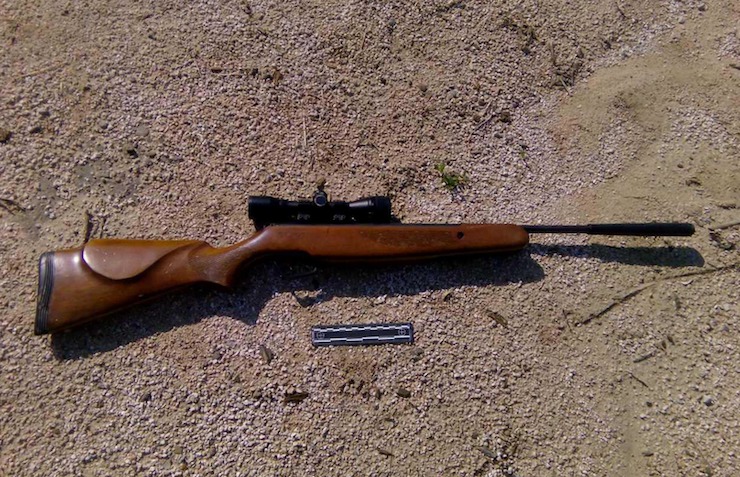 55 de arme pneumatice, ridicate de poliție de la începutul lui 2016