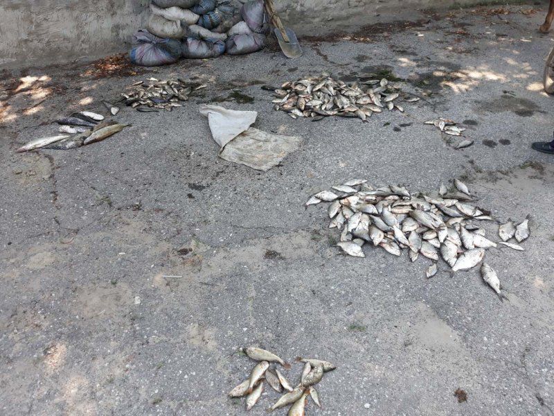 Рыболовы используют детей, чтобы безнаказанно перевозить улов в погранзоне