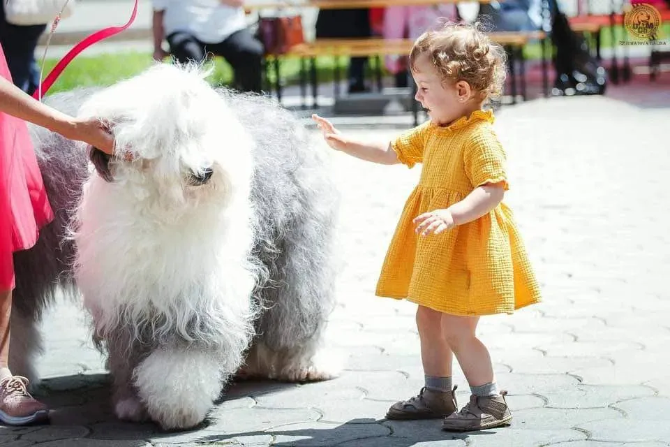 Moldexpo: Приглашаем всех любителей собак на Dog Show 2025 года