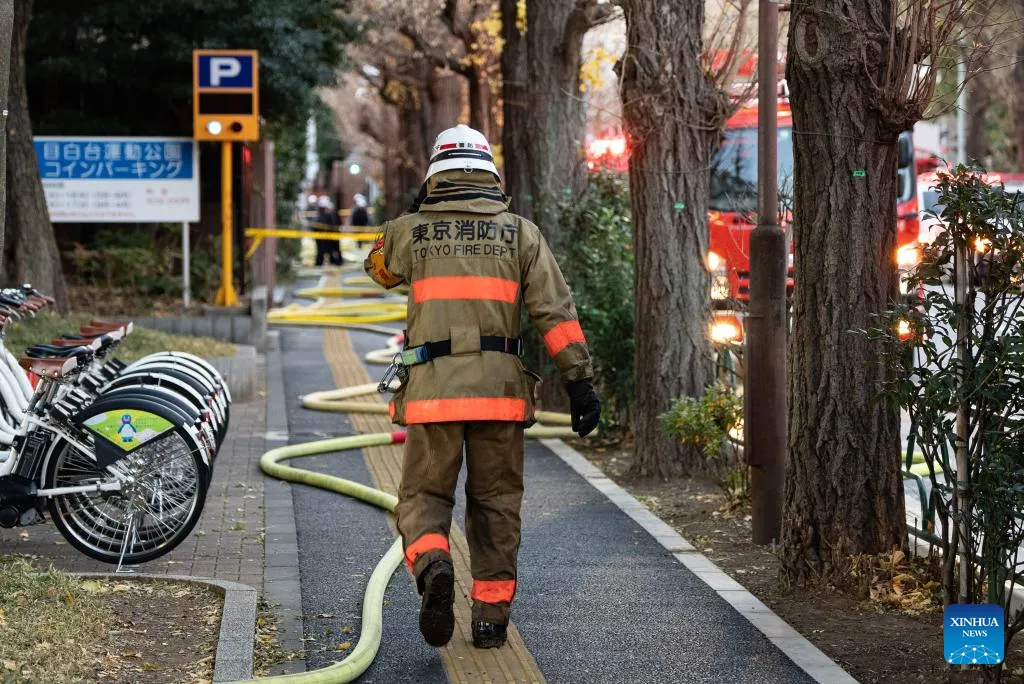 В Токио из-за аромапалочки дотла сгорел дворец экс-премьер-министра Японии