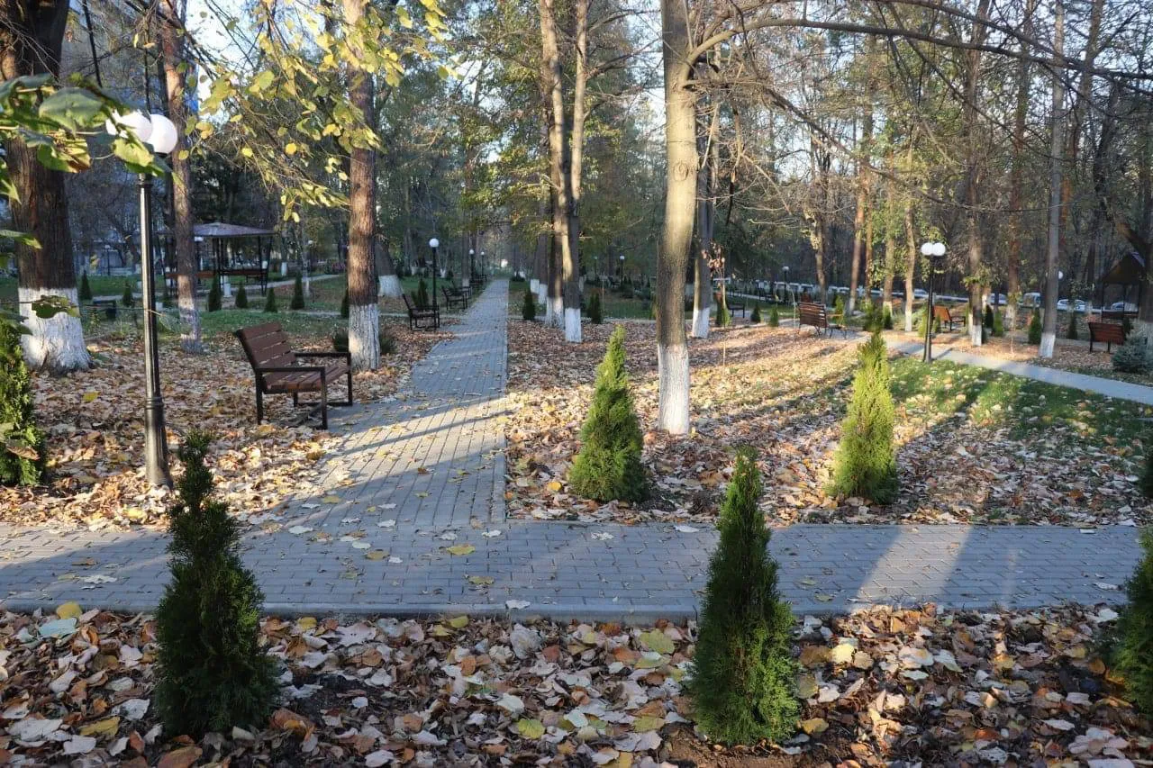 Возле столичной больницы «Святая Троица» обустроили зелёную зону