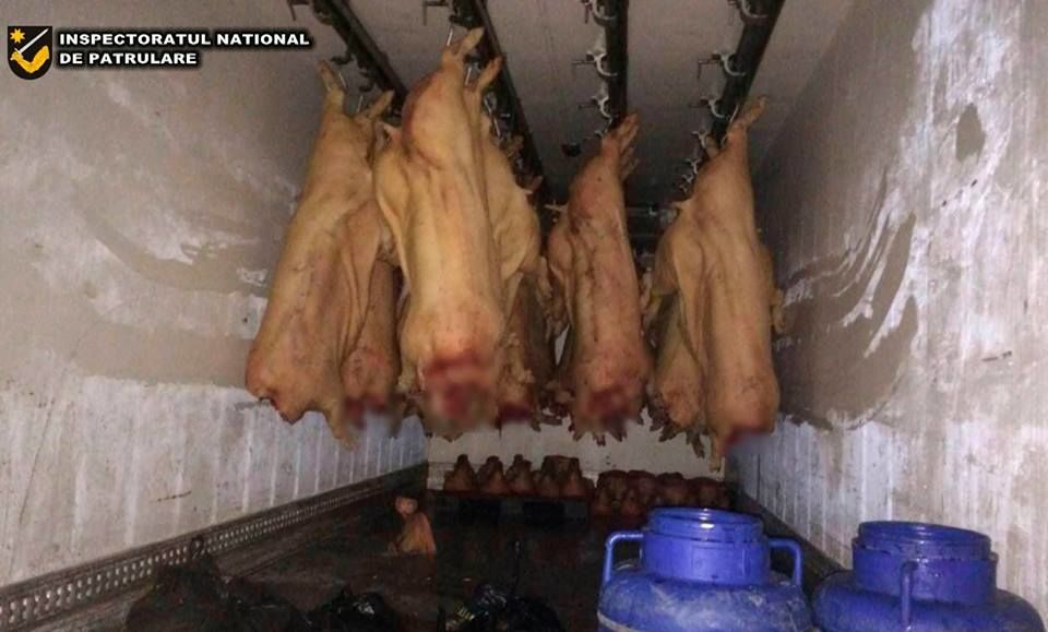 Trei tone de carne de porc, confiscată de poliţie