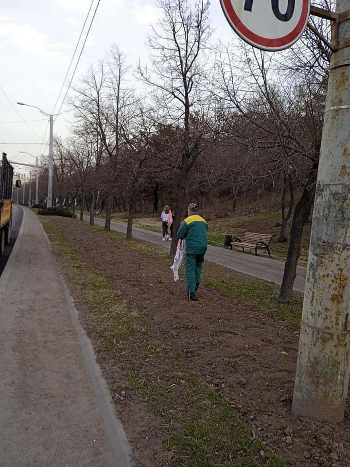 На Рышкановке развесили на деревьях нижнее белье