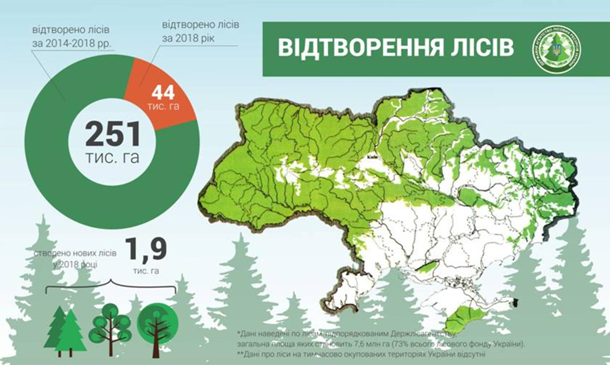 В Украине заявили о рекордном восстановлении лесов