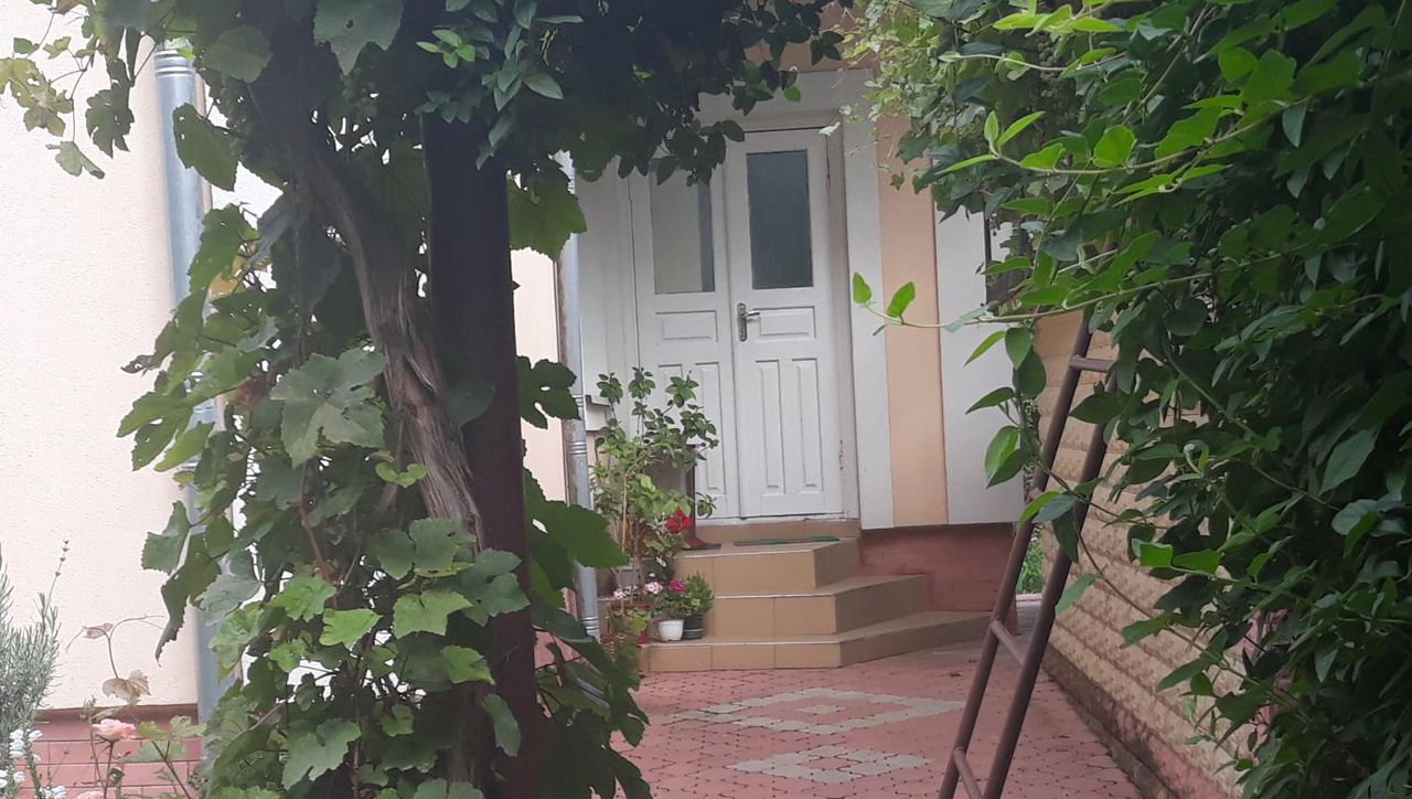 Задержанный главврач РЦМД, у которого в сейфах нашли миллионы, живет в скромном доме