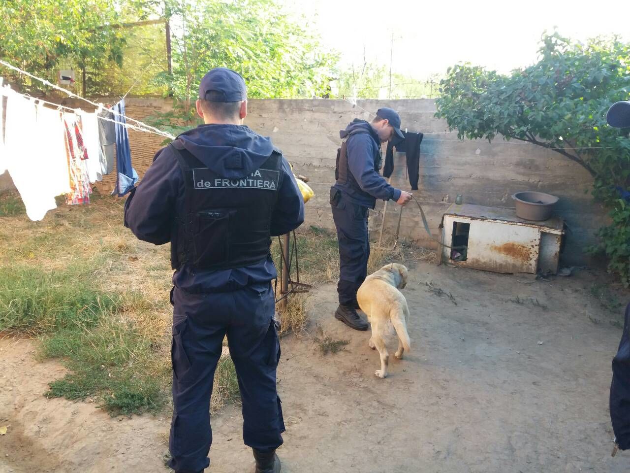 Descinderi la domiciliile unor bănuiți în trafic ilicit de droguri