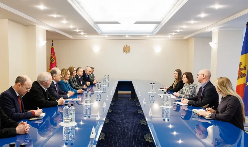 Санду призвала Европейский фонд за демократию продолжить поддержку Молдовы