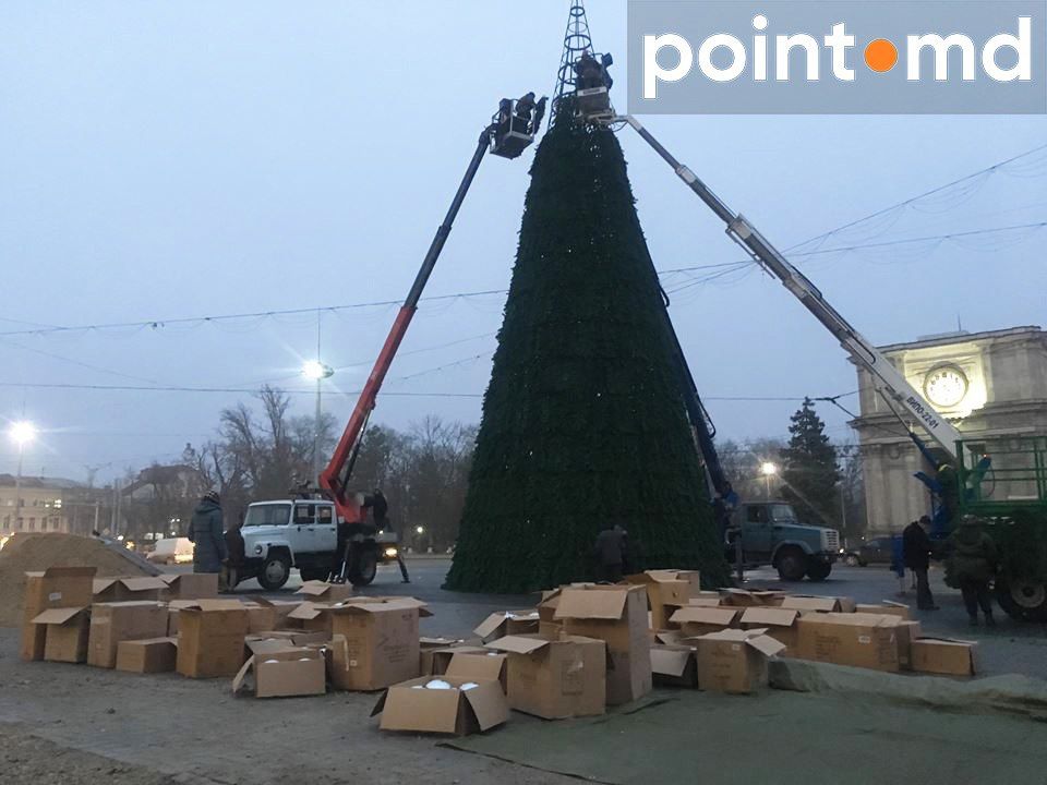 Елку в центре Кишинева начали украшать