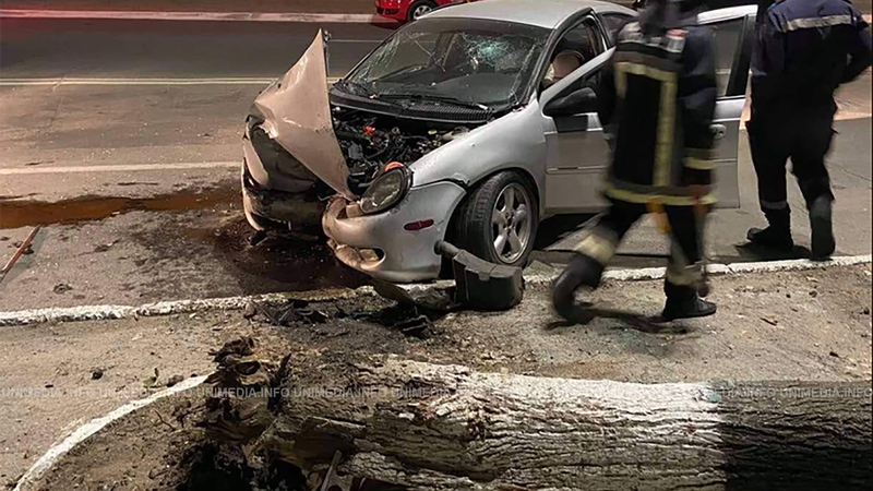 В Хынчештах Dodge врезался в дерево и повалил его