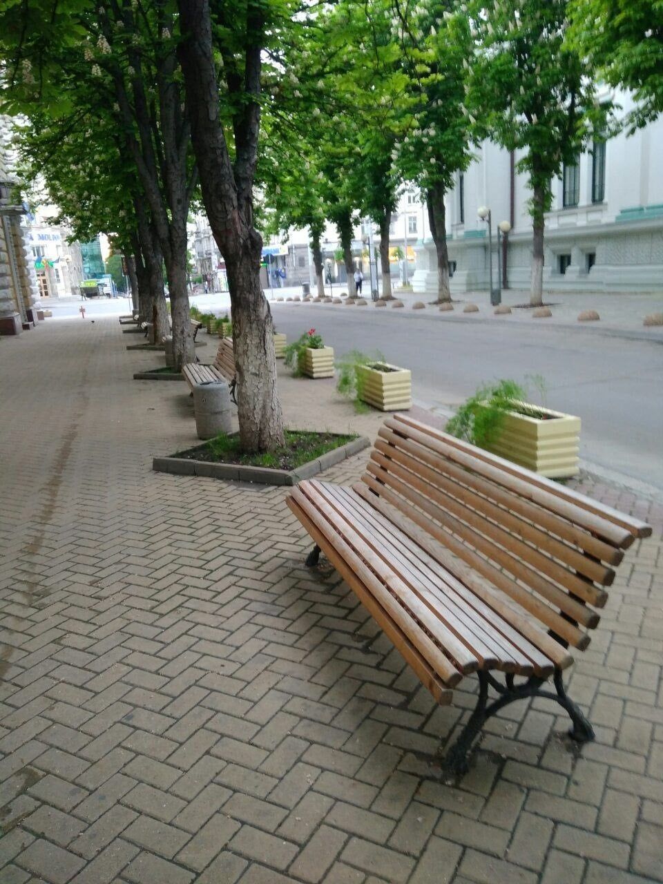 Чебан: В столице посаженные цветы исчезают каждую ночь