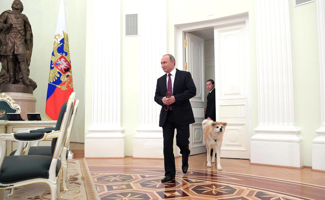 Путин показал журналистам подаренную ему в Японии собаку Юмэ