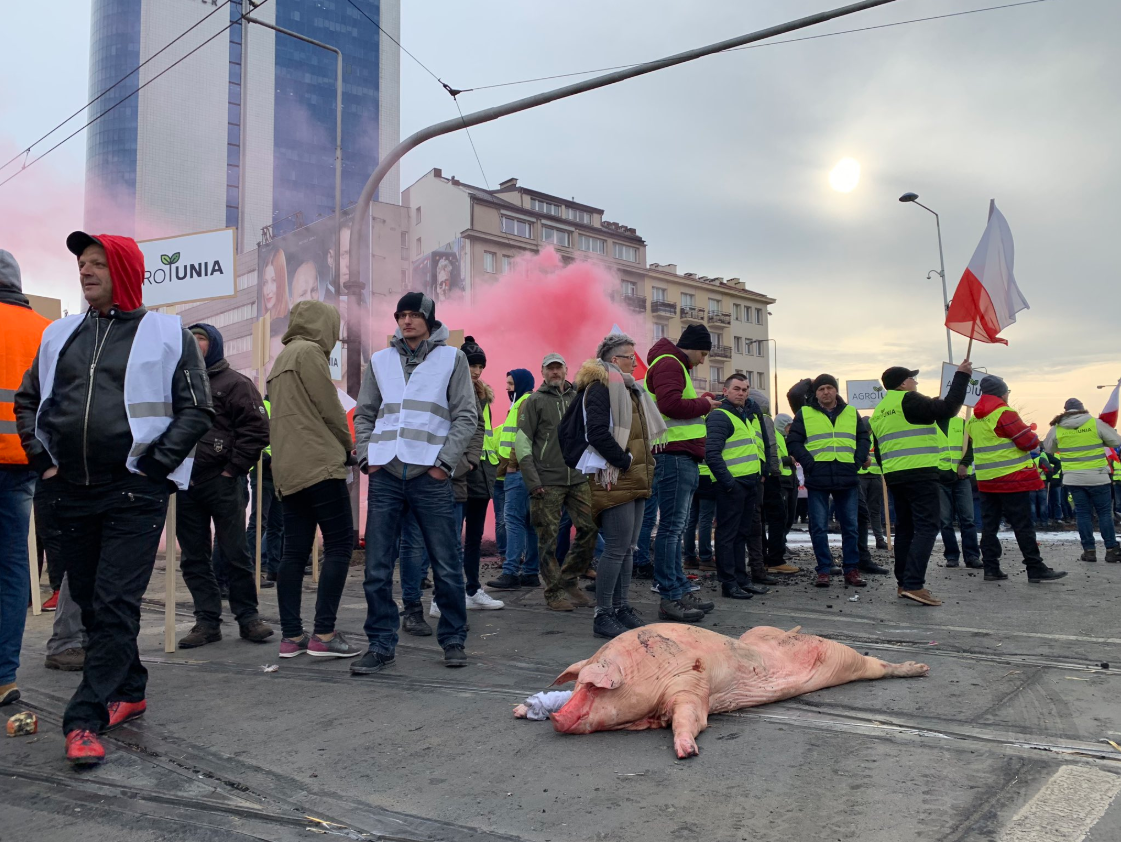 Протестующие в Варшаве польские фермеры рассыпали на дороге яблоки