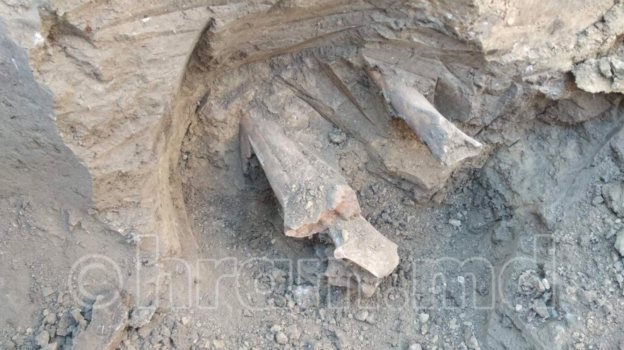 В Чишмикиой на территории храма найдены останки, предположительно человеческие