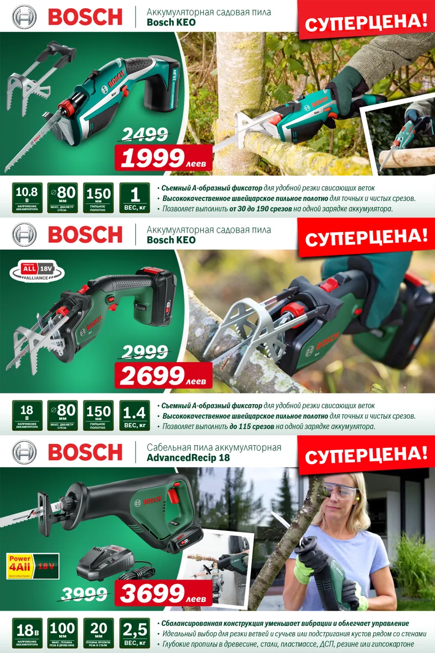 Bosch Siemens: Ассортимент садовой техники для весенней уборки