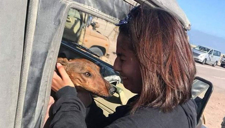 Хозяйка нашла таксу, выпавшую из самолета и шесть дней скитавшуюся по пустыне